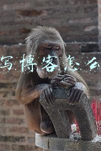 网上写博客怎么赚钱