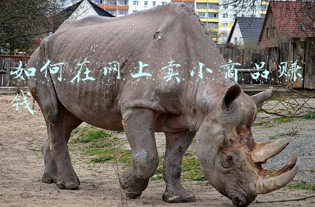 如何在网上卖课件(怎么用PPT接单赚钱？)