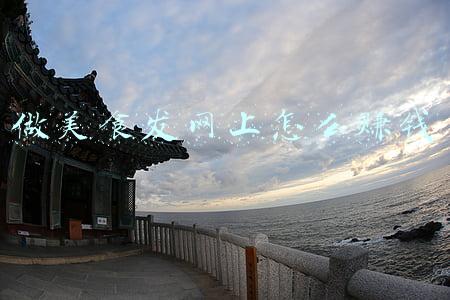 网上发布做菜可以赚钱吗(安徽农民夫妻，边种田边做饭，被骂作秀，却年入100万，凭啥？)