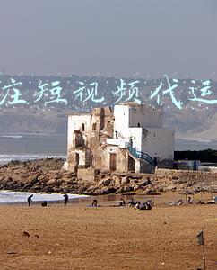 石家庄短视频代运营机构