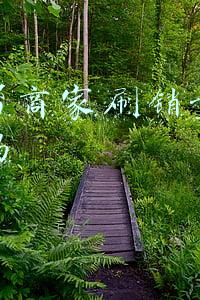 网上帮商家刷销量赚钱靠谱吗