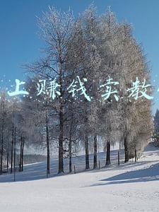 如何卖教程赚钱(毁三观，抖音卖教程暴利项目)