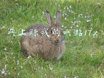 若多项式5x的平方 17x(吉祥主题奇石入围作品展播（一）)