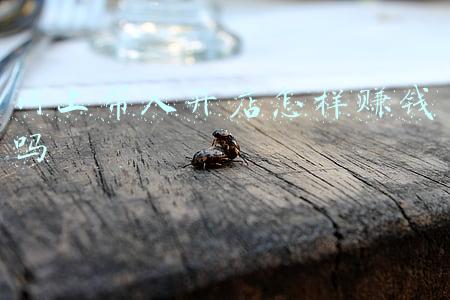 怎么在家开网店挣钱呢(宝妈在家怎么赚钱？开网店，很适合宝妈)