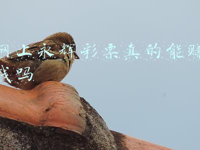 永辉彩票是合法的吗(双色球开奖结果查询 宝安彩民10元中双色球一等奖753万)