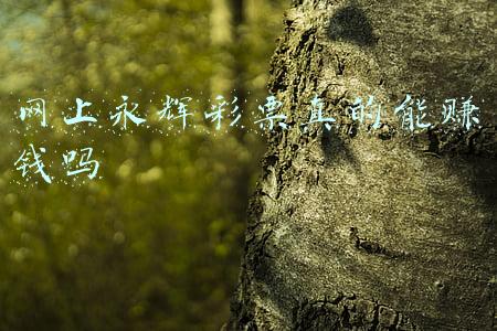 网上永辉彩票真的能赚钱吗