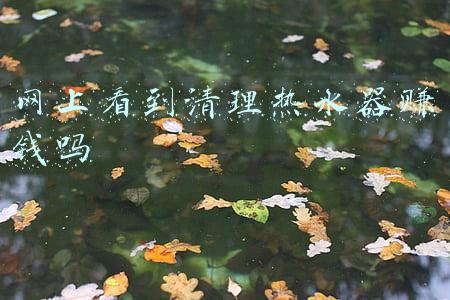 网上看到清理热水器赚钱吗