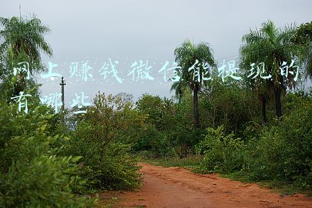 什么赚钱软件可以直接提现到微信(分享一下那些“赚钱软件”)