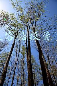 汽车美容店投资多少钱买什么设备(汽车美容店需要的设备及价格)