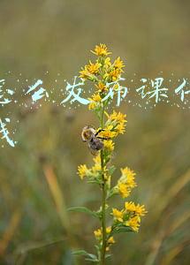 如何当网课教师挣钱(高校教师如何提高收入？这些方法有点扯，但真的可以有)