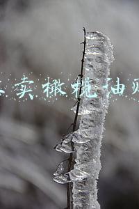 网上卖的橄榄油靠谱吗(你会购买橄榄油吗？来看河南省消费者协会的这份选购宝典)