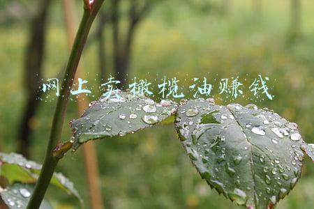 橄榄油卖点(这么多年橄榄油都白吃了，你竟然还不知道，赶紧告诉家人！)