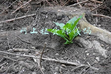 网上拉货赚钱吗