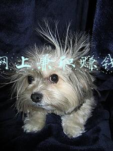 镇江网上兼职赚钱日结