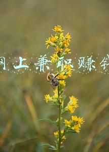 镇江58同城兼职招聘(江苏样本！规范设立网格10.5万个，配备专兼职网格员24.65万人，全省积极打造市域社会治理现代化)