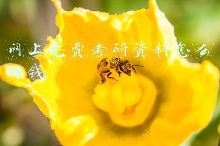 网上免费考研资料怎么赚钱