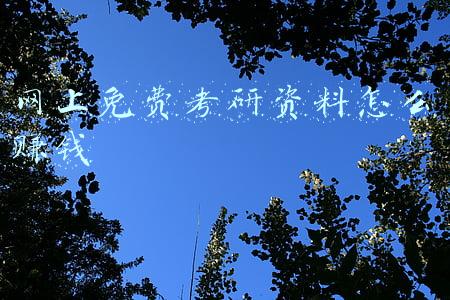 网上免费考研资料怎么赚钱