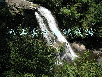 网上卖冷面赚钱吗