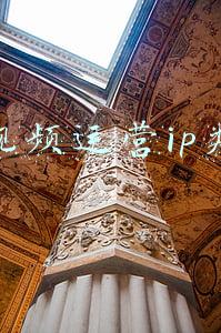 短视频运营ip类型