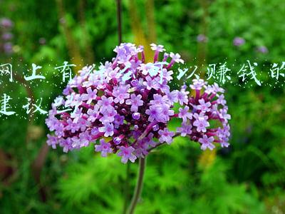 物流网发展建议(代表话民生 | 关于建设县级寄递物流集散中心的建议)