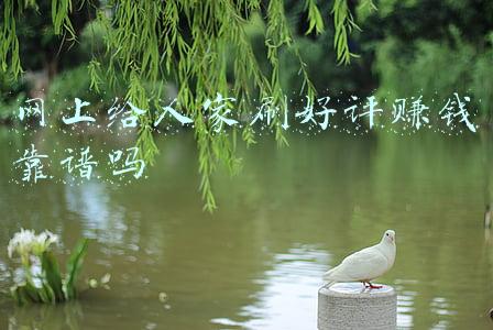 网上给人家刷好评赚钱靠谱吗