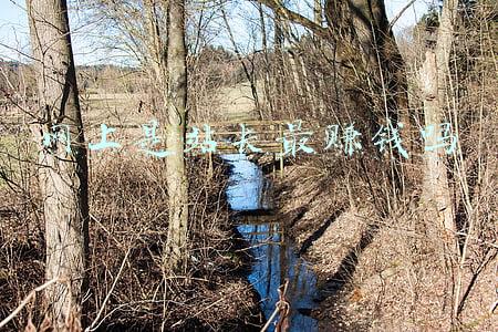 网上是站长最赚钱吗