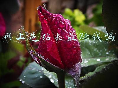 ppt模板站长素材网(找不到好看的PPT模板？送你7个网站，高质量模板任意下！)