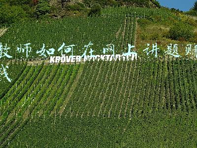 教师如何在网上讲题赚钱