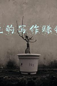 写作赚钱是假的(小白写作就轻松月入过万？别再被骗了，我来揭示内幕)