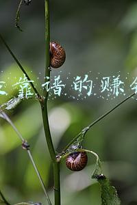 网上最靠谱的赚钱话术