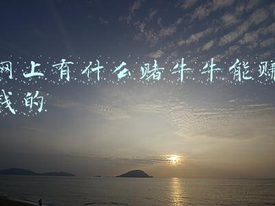 网上有什么赌牛牛能赚钱的