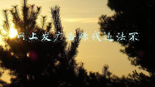 网上宣传打广告犯法吗(人民日报：规范网络电商广告用语 滥用广告极限词属于违法行为)