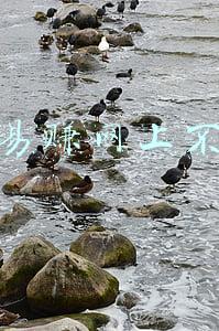 赚钱易赚网上不去了