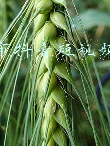 郑州市创业运营补贴(郑州市：高校毕业生首次创业给予一次性开业补贴)