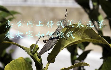 闲来无事挂心头(在府城寻找“七井”)