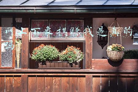 网上免费下象棋(付费玩家教你玩免费版象棋ol 5块钱多送一个卒)