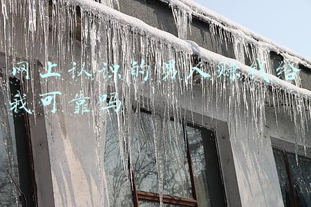 网上认识一男的,说要带你赚钱(“足不出户带你赚钱”小伙子信了这话，被坑惨了)