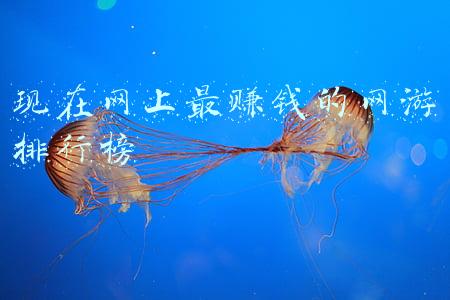 现在网上最赚钱的网游排行榜