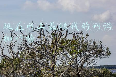 现在正在分手韩剧网(《正在分手中》宋慧乔张基龙迎来转折点，10年前的隐藏秘密被公开)