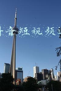 威海市国有资本运营(威海国资运营公司重组，近200家债券持有人会议召开)