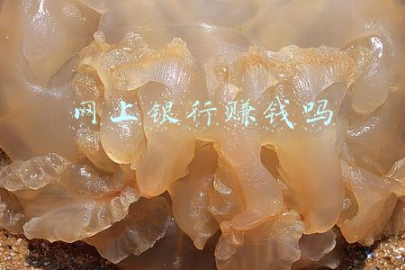 网上银行有用吗(报告显示：手机银行已成为银行最重要触客渠道)