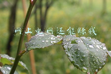 网上电网还能赚钱