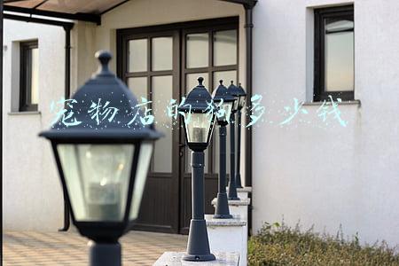 飞狗moco宠物店；飞狗moco宠物店的小秘密动画片