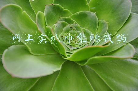 网上卖纸巾能赚钱吗