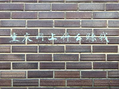 重庆网上什么赚钱