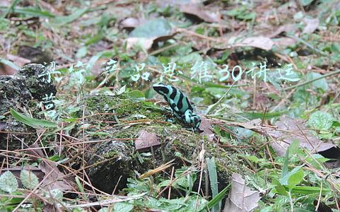 梁宁产品思维30讲运营