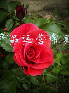 喷漆产品常见问题(冬季喷漆室“结露”问题)