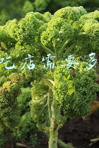 开小吃店需要多少钱