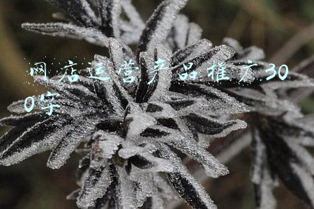 网店运营推广实训平台(南阳正规的电商淘宝培训机构有哪些 商旗教育)