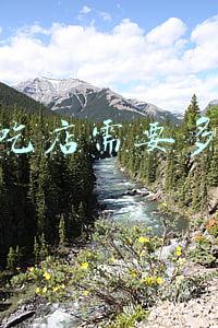 开家小吃店大概多少钱-开家小吃店要多少钱